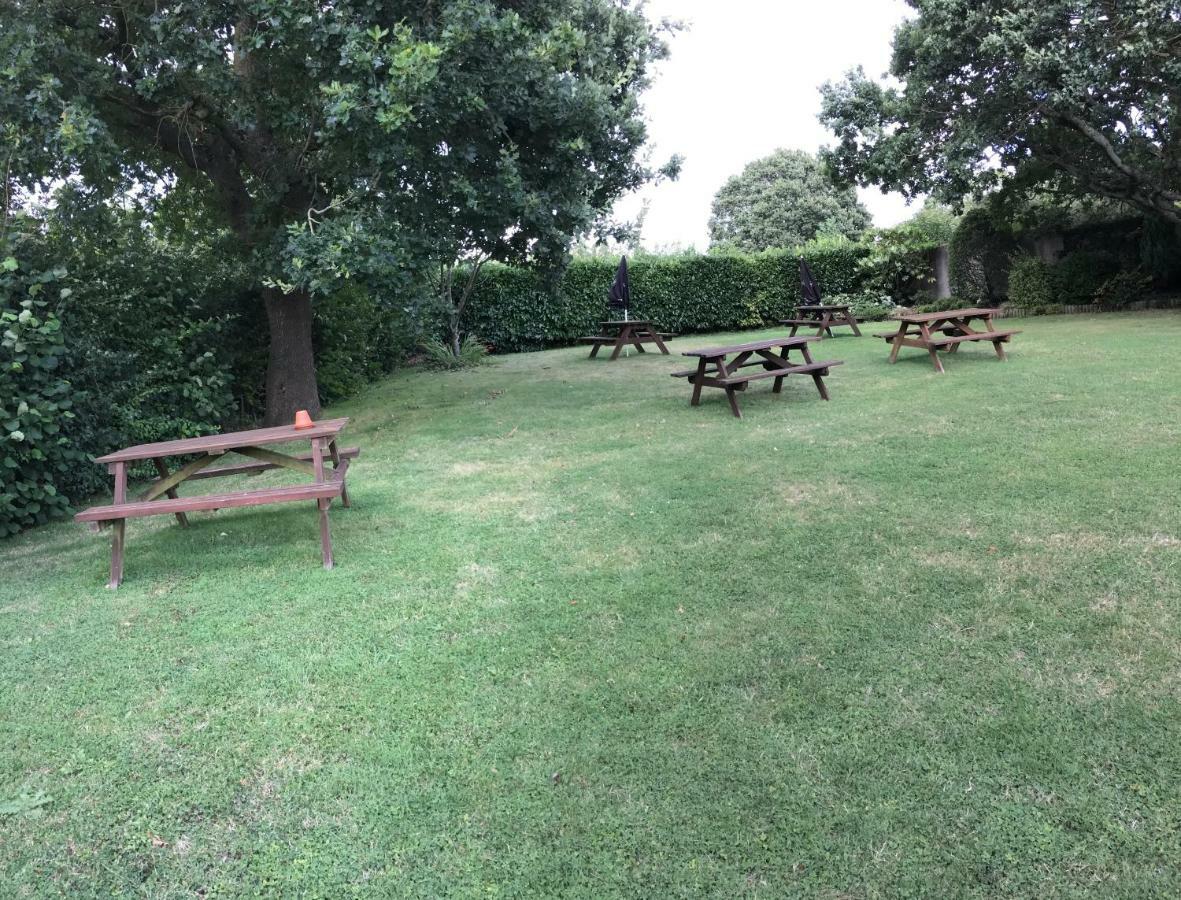 The Saxon Inn Blandford Forum Exterior foto